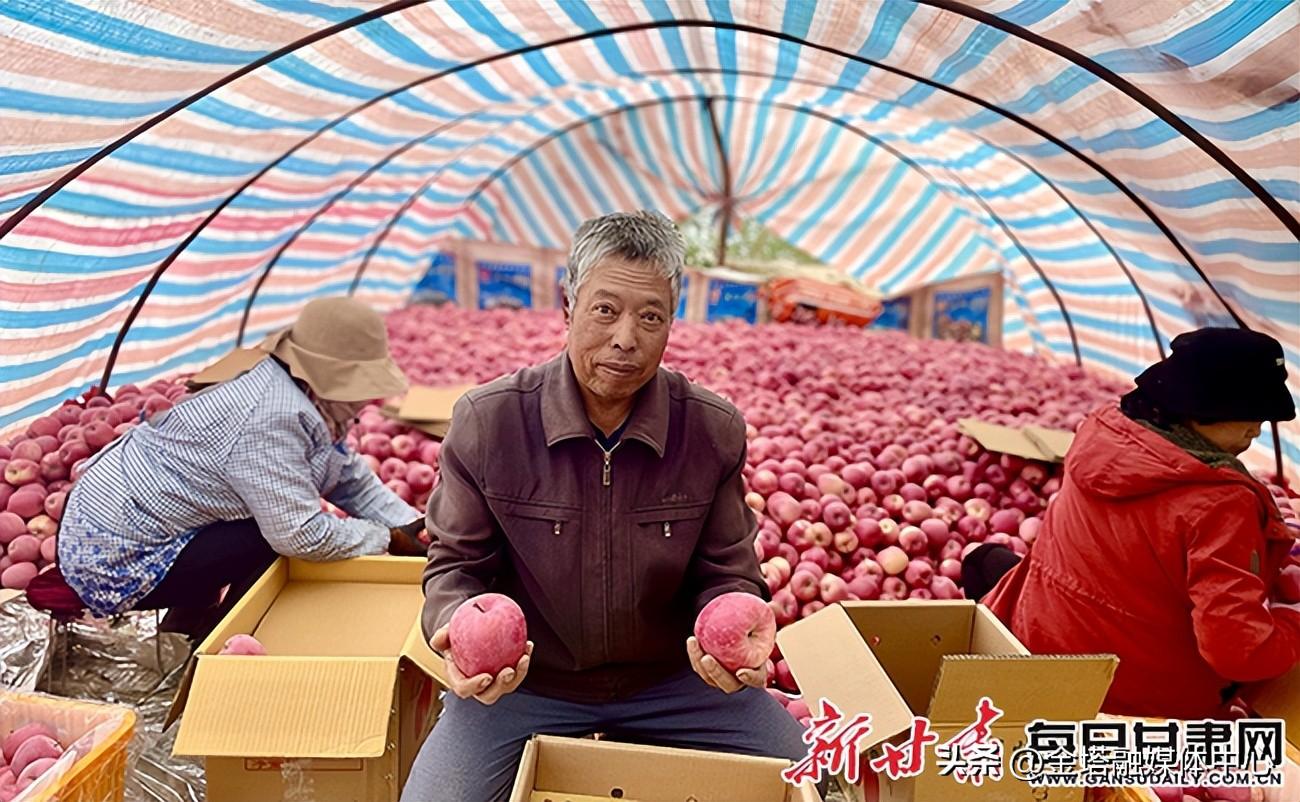 静宁县多部门联动助力苹果销售